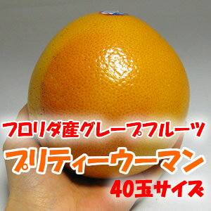 40̥եΤꥰ졼ץե롼٤̣ʪǤե졼ץե롼ġ֥ץƥޥ36̥