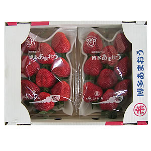 ֤ޤޤ뤤ޤפΤޤ̣襤㤤ޤޤ(ʡ2ѥå