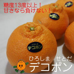 ̵·ɴŤϳ̡礻Ȥǥݥ