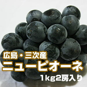 広島・三次産　ニューピオーネ　1kg（2房入り）