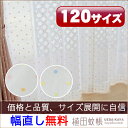 【オーダー商品】ドットカラーミラーレースカーテン幅〜150cm-丈163〜202cm 1枚 業務用カーテン可