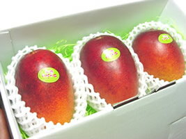 熊本産・大自然ファーム本田さんのマンゴー2玉〜3玉入り化粧箱入りご予約承り中お届は8月中旬以降になります。