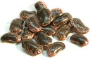 2016年度産・嬬恋産高原花豆【300g】【配送方法宅急便コンパクト選択時一配送2個までご対応】(大変申し訳ございませんがメール便非対応商品の為メール便でのご注文時宅配便料金に訂正させていただきます。)