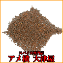 【500g】ライ(ブラウンマスタードシード)【配送方法メール便選択時一配送商品1個まで対応ご対応】【小型配送選択時一配送商品2個まで対応ご対応】