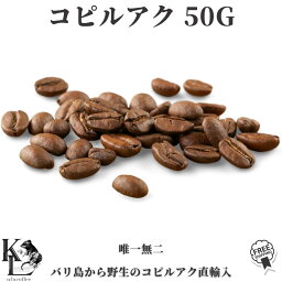 コピルアク <strong>送料無料</strong> <strong>天然100%</strong> ジャコウネココーヒー 50g <strong>コピルアック</strong> シベットコーヒー コーヒー 珈琲豆 <strong>コーヒー豆</strong> 自家焙煎コーヒー ドリップコーヒー アイス<strong>コーヒー豆</strong> 珈琲 浅煎り 浅煎 高級【野生】【売れ筋】【オススメ】