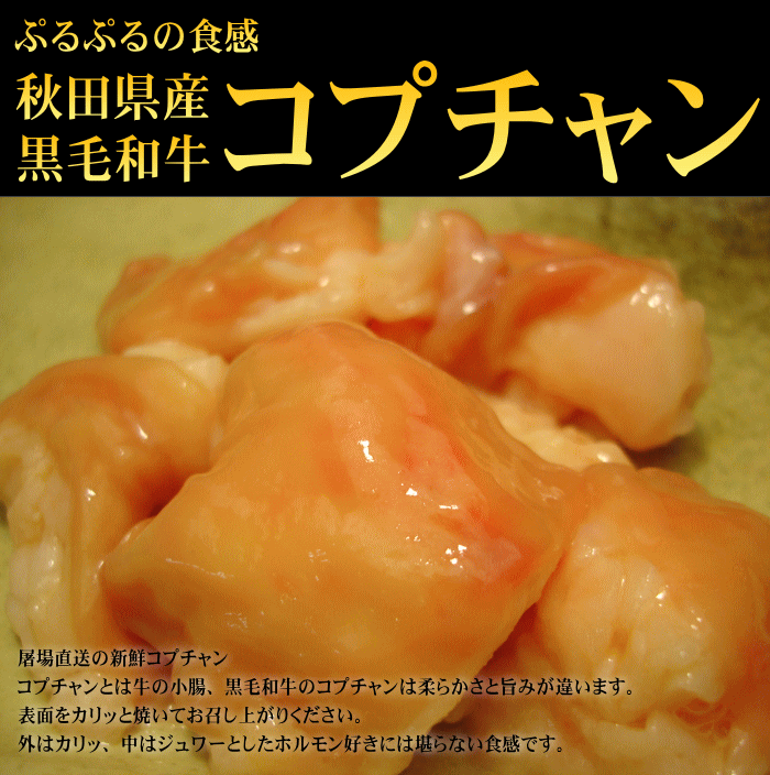 秋田県産　黒毛和牛　コプチャン(小腸）　100g