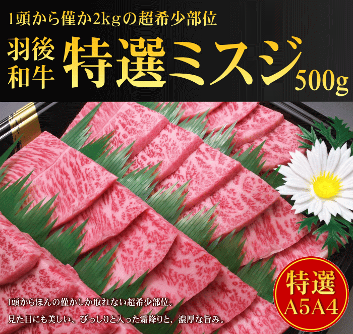 秋田県産羽後和牛　特選ミスジ焼肉用　500g