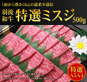 秋田県産羽後和牛 特選ミスジ焼肉用 500g