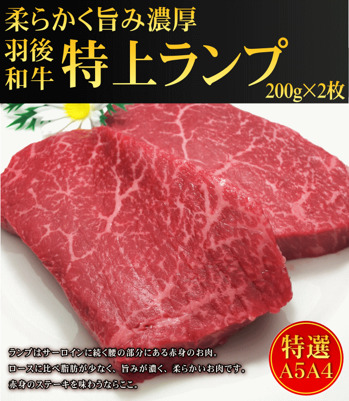 秋田県産羽後和牛　特上ランプステーキ　200g×2枚