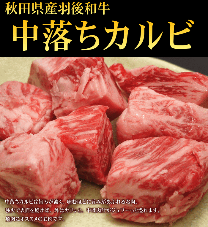 【超希少部位中落ちカルビ】A5・A4等級羽後和牛中落ちカルビ焼肉用　100g数量限定!!おいしい羽後和牛をお試し価格で!!