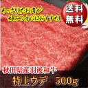 【お中元セール　17％OFF　送料無料】秋田県産　羽後和牛　特上ウデ　500g