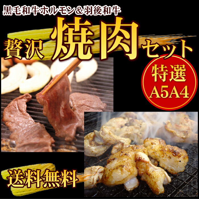 《送料無料》羽後和牛贅沢焼肉セット（黒毛和牛ホルモン焼きセット・羽後和牛焼肉セット）