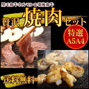 《送料無料》羽後和牛贅沢焼肉セット(黒毛和牛ホルモン焼きセット・羽後和牛焼肉セット) 秋田牛羽後牛