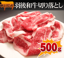 羽後和牛切り落とし 500g