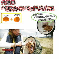 ͥ!ޤϥ߷٥åɡڤڤ󤳥٥åɥϥSۡ