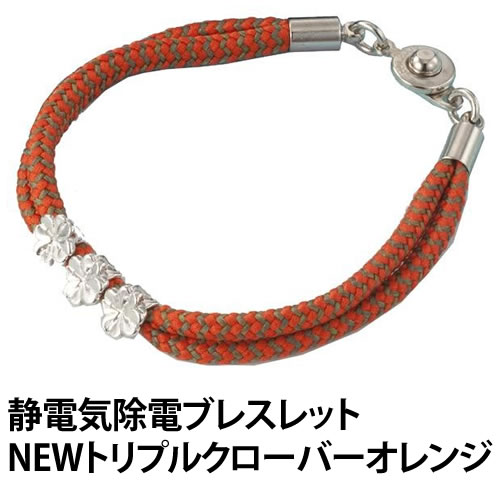 【エントリーでポイント10倍 3/21 9:59ま