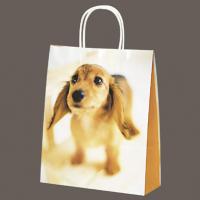 󥳤Υǥ󤬤襤󤲥Хå!35-4505󤲥ХåҸۡ