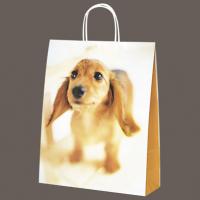 󥳤Υǥ󤬤襤󤲥Хå!35-4525󤲥ХåҸۡ