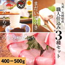 うまみ極点ぶり(はまち)・まだい塩〆湯引き・日向灘ひらめ昆布締め 刺身盛り合わせ/職人仕込み3種セット【400-500g】敬老の日 おつまみセット 海鮮 海鮮丼 刺身 柵 産地直送!送料無料 九州宮崎県延岡産 生 お祝い 贈答用におすすめ 下処理済 簡単調理 切るだけ