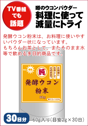 多目的ウコンパウダー【純発酵ウコン粉末60g】【送料無料】10dw08