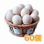 烏骨鶏の卵　（うこっけいのたまご｜ウコッケイのタマゴ）　60個