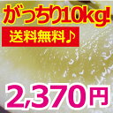 山形県産★訳ありサンふじリンゴ10kg♪送料無料！しかも購入後レビューを書くだけで5％増量♪★限定300ケース！山形県産訳ありリンゴ♪★配達日指定可！農家さんからの直接買付だから出来る安さと新鮮さをぜひご賞味下さい！