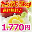 山形県産★訳あり早生ふじ・サンふじリンゴ5kg♪送料無料！りんご・林檎★限定300ケース！山形県産訳ありリンゴ♪★配達日指定可！農家さんからの直接買付だから出来る安さと新鮮さをぜひご賞味下さい！