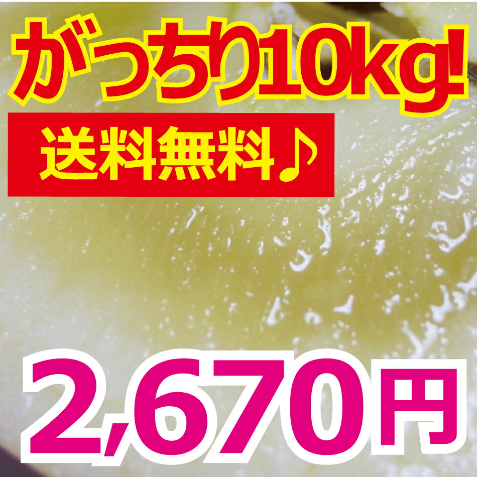 山形県産★訳あり早生ふじ・サンふじリンゴ10kg♪送料無料！りんご・林檎★限定300ケース！山形県産訳ありリンゴ♪★配達日指定可！農家さんからの直接買付だから出来る安さと新鮮さをぜひご賞味下さい！