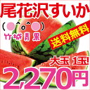 【訳あり大玉すいか7月中旬〜お届け！超特価！】限定300ケースのみ！山形尾花沢産大玉スイカちょっぴり訳あり！送料無料！西瓜！