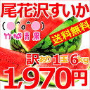 【順次出荷開始★お届け日時指定可能】【送料無料】山形産 ご家...
