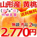 【2017年度8月下旬から出荷予定★早期予約受付中】【送料無...