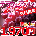 【順次出荷開始★お届け日時指定可能】【送料無料】山形県産 ブ...