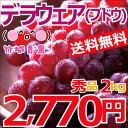 【順次出荷開始★お届け日時指定可能】【送料無料】山形県産 ブドウ デラウェア 2kg(秀品/8房〜16房)【山形産/ぶどう/ブドウ/デラウェア/果物/フルーツ/ギフト/夏ギフト/お中元/暑中見舞い/残暑見舞い/2.0kg/産地直送/お取り寄せ/最安値に挑戦】