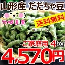 【2017年度8月下旬から出荷予定★早期予約受付中】【送料無料】山形県鶴岡産 枝豆 だだちゃ豆 ご家庭用(4kg)【山形県産/産地直送/まめ/マメ/豆/茶豆/庄内茶豆/だだちゃ豆/白山だだちゃ同品種/わけあり/訳あり/最安値に挑戦】
