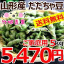 【2017年度8月下旬から出荷予定★早期予約受付中】【送料無料】山形県鶴岡産 枝豆 だだちゃ豆 ご家庭用(5kg)【山形県産/産地直送/まめ/マメ/豆/茶豆/庄内茶豆/だだちゃ豆/白山だだちゃ同品種/わけあり/訳あり/最安値に挑戦】