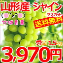 山形県産 ブドウ シャインマスカット 1.5kg(秀品/2房?3房)【山形産/ぶどう/ブドウ/葡萄/シャイン/ギフト/贈り物/夏ギフト/果物/フルーツ/人気/売れ筋/ランキング/産地直送/送料無料/山形県/お取り寄せ】