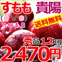 【2017年度7月下旬から出荷予定★早期予約受付中】【送料無...