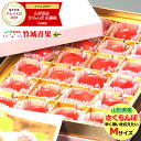 【2019/予約】母の日 ギフト さくらんぼ 佐藤錦 プレミ...