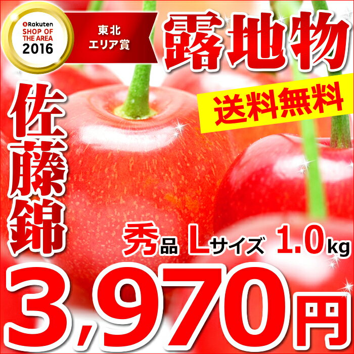 【今シーズン食べ収め/送料無料】さくらんぼ 佐藤錦(秀品/Lサイズ/1kg/ばら詰め)【山形産/山形県産/東根市/東根市産/サクランボ/露地/フルーツ/果物/産地直送/お取り寄せ/お試し/ギフト/贈り物/最安値に挑戦/グルメ大賞受賞店】