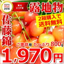【2015年グルメ大賞受賞店★2017年度6月中旬から出荷予定】【2箱購入で送料無料/早期予約受付中】ご家庭用 さくらんぼ 佐藤錦(Mサイズ/800g/バラ詰め/フードパック)【山形産/山形県産/サクランボ/露地/果物/フルーツ/産地直送/お取り寄せ/最安値に挑戦】