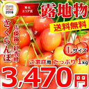 【順次出荷開始中!お届け日時指定OK】【送料無料】ご家庭用 ...