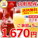 山形県産 りんご サンふじ 5kg(ご家庭用/15玉?30玉入り/ジュース・スムージー用)【あす楽対応/サンつがる/早生ふじ/サンふじ/山形産/りんご/リンゴ/林檎/蜜入り/訳あり/わけあり/自宅用/家庭用/果物/フルーツ/人気/売れ筋/5キロ/山形県/送料無料/お取り寄せ】