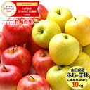 【予約】山形県産 ご家庭用 りんご ふじ&王林 詰め合わせ ...