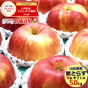 【予約】りんご 葉とらずりんご 5kg (秀品/14玉〜20...