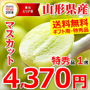 山形県産 特秀品ブドウ シャインマスカット【山形産/ぶどう/ブドウ/葡萄/シャイン/ギフト/贈り物/夏ギフト/果物/フルーツ/人気/売れ筋/ランキング/産地直送/送料無料/山形県/お取り寄せ】
