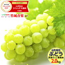 【予約】山形県産 ブドウ ナイアガラ 2kg(ご家庭用/3房...