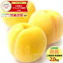 【予約】山形県産 黄桃 2kg(ご家庭用/有袋栽培/5玉〜9...