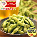 【2019/予約】山形県鶴岡産 枝豆 だだちゃ豆 ご家庭用(...