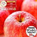 【予約】りんご 訳あり サンふじ 10kg (ご家庭用/22玉〜46玉入り/生食可)【あす楽対応/山形県産/リンゴ/林檎/蜜入り/訳ありりんご/訳ありリンゴ/自宅用/家庭用/果物/フルーツ/人気/売れ筋/ランキング入賞/10キロ/山形県/送料無料/お取り寄せ】