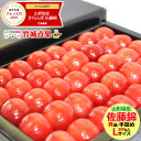 【2019/出荷中】母の日 ギフト さくらんぼ 佐藤錦 (ハウス栽培/秀品/Lサイズ/手詰め/3